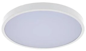 Rabalux Rabalux 71427 - LED Fürdőszobai mennyezeti lámpa ALENZO LED/24W/230V IP44 fehér RL71427