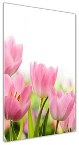 Egyedi üvegkép Rózsaszín tulipánok osv-76412458