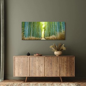 Kép - Bambusz erdő (120x50 cm)