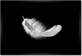 Poszter keretben 60x40 Bolyhos fehér toll