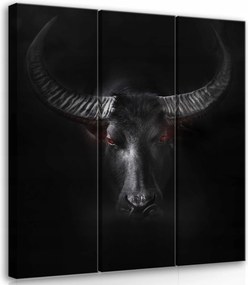 Vászonkép 90x100 Fekete bika erő tekintet állat művészet