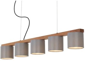 Briloner 4075-054 - Kábelcsillár 5xE14/25W/230V