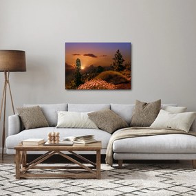 Természet képe naplementekor (70x50 cm)
