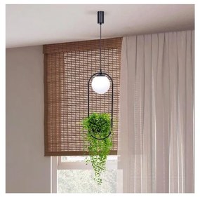 Zuma Line 5003 - Csillár zsinóron PLANT 1xE14/40W/230V fekete