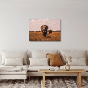 Kép - Az elefánt érkezése (üvegen) (70x50 cm)
