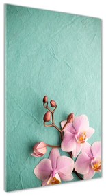 Egyedi üvegkép Rózsaszín orchidea osv-102905480