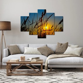 Kép - naplemente a réten (150x105 cm)
