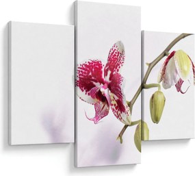 Orchidea virág képe (90x60 cm)
