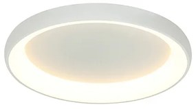 ZAMBELIS-2057 Fehér Színű Mennyezeti Lámpa LED 60W IP20