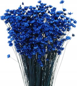 Szárított Glixia sötétkék csokor szárított virágok váza dekoráció