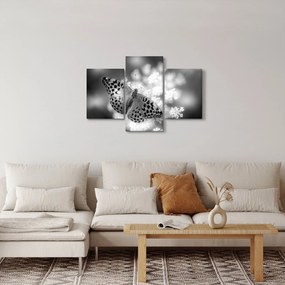 Kép - Részlet egy virágot beporzó pillangóról (90x60 cm)
