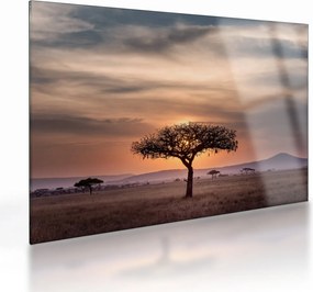 Naplemente képe Tanzániában (üvegen) (70x50 cm)