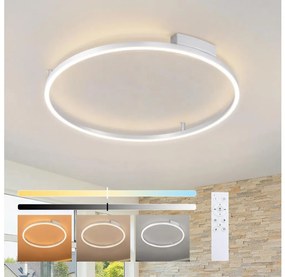 Brilagi - LED dimmelhető lámpatest PORTOFINO LED/60W/230V Ø 80 cm ezüst +távirányító