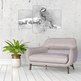 Kép - Egy madár egy ágon (90x60 cm)