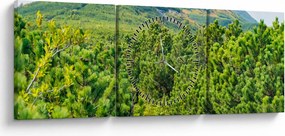 Kép - Babi Hora, Lengyelország (órával) (90x30 cm)