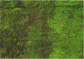 Flizelin tapéta falra Prémium zöld szőnyeg 312x219 Ragasztó