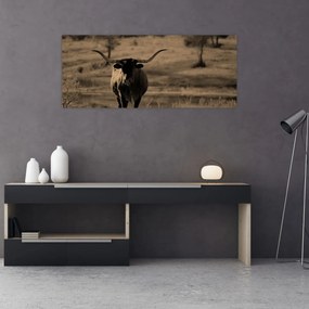 Kép - Texasi tehén (120x50 cm)