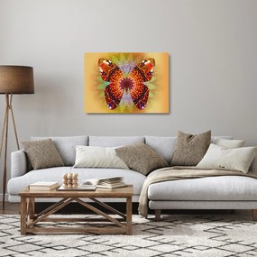 Kép - etno pillangó (üvegen) (70x50 cm)
