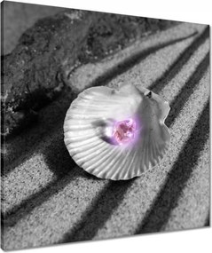 Vászonkép 60x60 Kagyló és gyöngy Homok