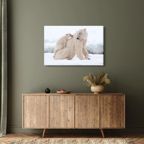 Kép - Jegesmedvék (90x60 cm)