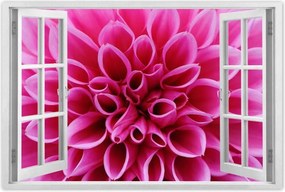 Poszterek 60x40 Liliom