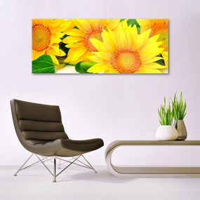 Üvegkép falra Napraforgó virág természet 125x50 cm