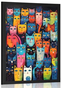 Plakát macska kollekció