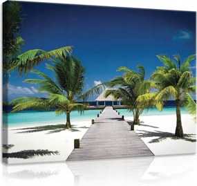 Vászonkép 80x60 Trópusok paradicsom tengerpart óceán pálmafák nyaralás nyugalom pihenés nap
