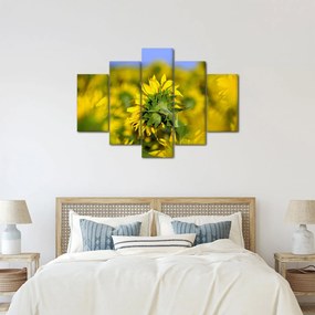 Napraforgó képe (150x105 cm)