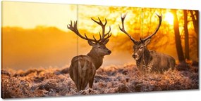Vászonkép 210x100 Szarvasok a bömbölőn