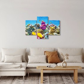 Kép - A tenger világa (90x60 cm)