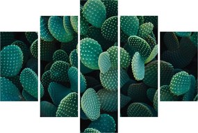 Kép - Opuntia (150x105 cm)