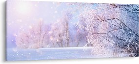 Kép - Fagyos tél (120x50 cm)