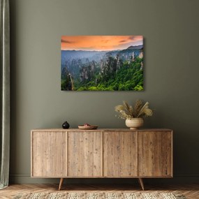 Kép - Zhangjiajie Nemzeti Erdei Park (90x60 cm)