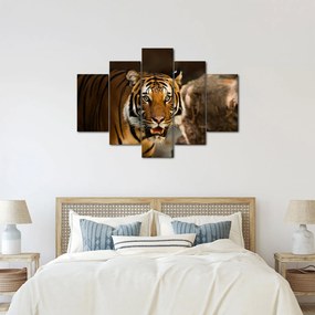 Tigris képe (150x105 cm)