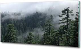 Fotó üvegfestmény Ösvény a sziklán 100x70