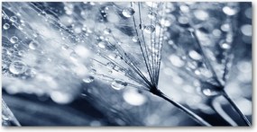 Fotó üvegkép Pitypang magok 140x70