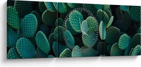 Kép - Opuntia (órával) (90x30 cm)