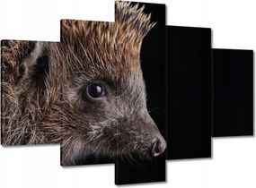 Vászonkép 150x105 Sündisznó fekete alapon