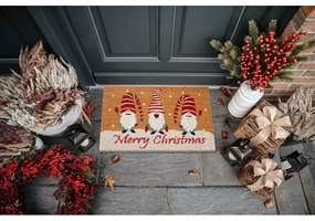 Kókuszrost lábtörlő karácsonyi mintával 40x70 cm Christmas Gnomes – Hanse Home