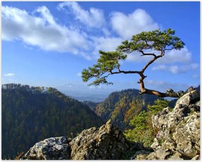 Poszterek 50x40 Tájképek Kilátások Tájképek