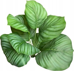 Kalatea Calatea Calathea orbifolia csokor mesterséges levelek töltőanyag virágok
