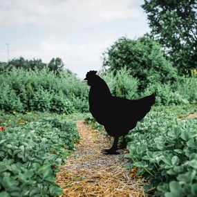 Chicken fém kerti dísztárgy, 64×42 cm – TR565TNL1263
