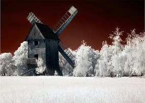 A malom képe (üvegen) (70x50 cm)