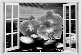Poszterek 60x40 Orchideák a köveken
