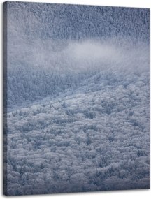 Vászonkép Természet Hófödte erdő 30x40 cm