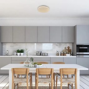 Rabalux 71182 - LED Mennyezeti lámpa TREVOR LED/18W/230V 3000K átm. 33 cm