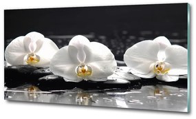 Egyedi üvegkép Orchidea osh-62952104