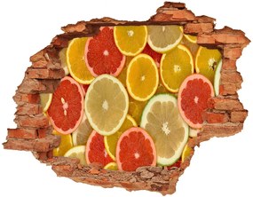 Fali matrica lyuk a falban Citrusfélék nd-c-75221709