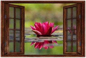 Poszterek 120x80 Vízi liliom